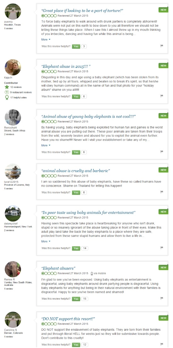 Recensioni su TripAdvisor che denunciano l'abuso di elefanti a Nikki Beach Phuket, evidenziando il maltrattamento degli animali.
