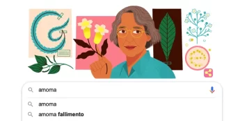 Schermata di ricerca Google con suggerimenti riguardanti il fallimento di Amoma, includendo un doodle di Google.